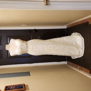 Ivory Lace Wedding Dress NWT